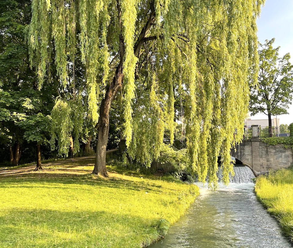 English Garden: City Park in Munich, Germany